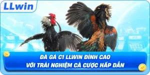 Đá Gà C1 LLWIN Đỉnh Cao Với Trải Nghiệm Cá Cược Hấp Dẫn