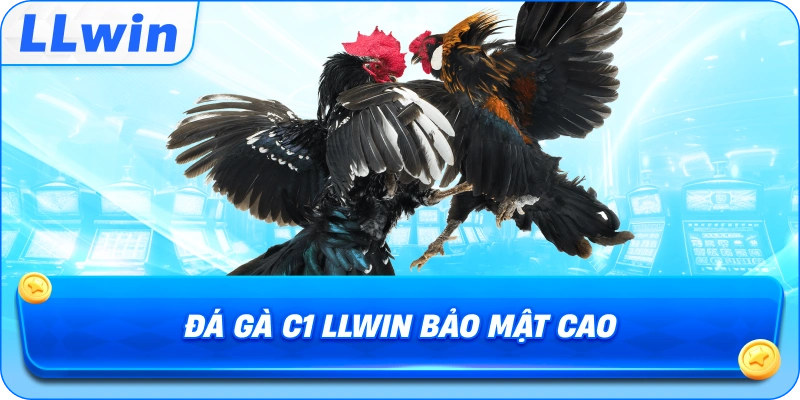 Đá Gà C1 LLWIN bảo mật cao