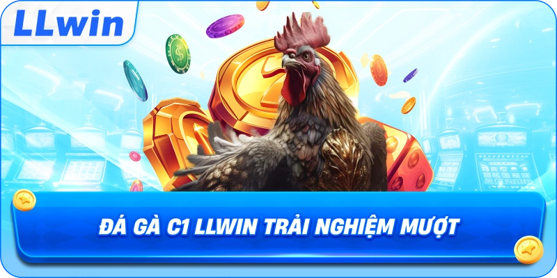 Đá Gà C1 LLWIN trải nghiệm mượt mà