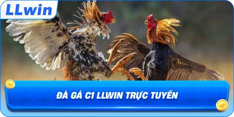 Đá Gà C1 LLWIN trực tuyến