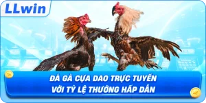 Đá Gà Cựa Dao Trực Tuyến Với Tỷ Lệ Thưởng Hấp Dẫn