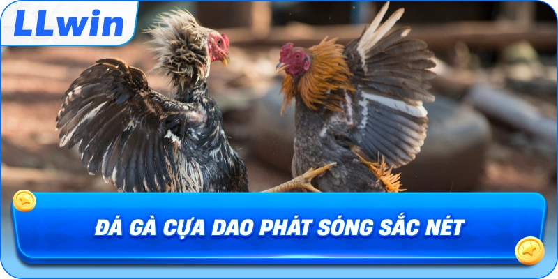 Đá Gà Cựa Dao LLWIN phát sóng sắc nét