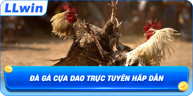 Đá Gà Cựa Dao trực tuyến hấp dẫn
