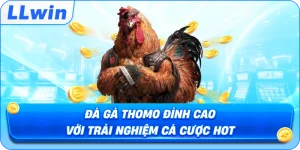 Đá Gà Thomo Đỉnh Cao Với Trải Nghiệm Cá Cược Hot