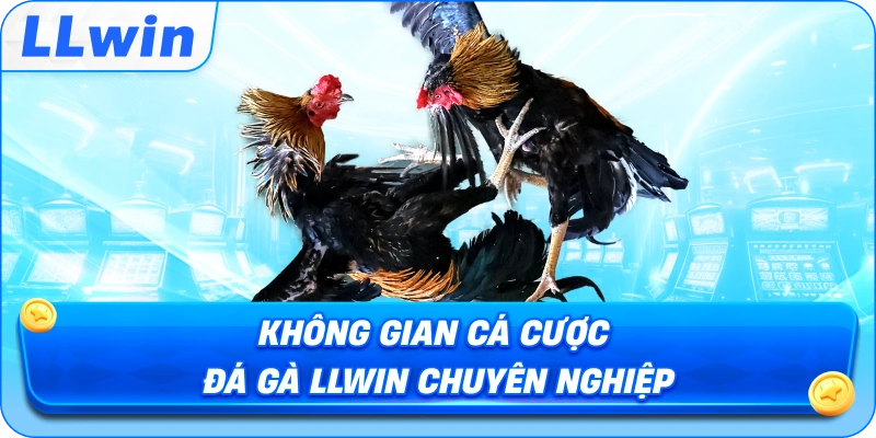 Không gian cá đánh giá Đá Gà LLWIN chuyên nghiệp